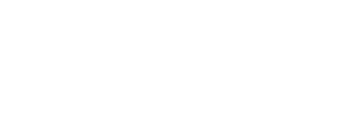 Adobe_Solution_Partner_Bronze_white